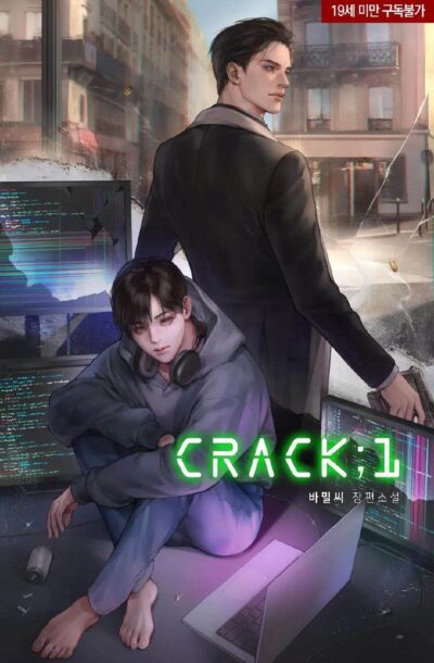 C | Chapter 11.3 | Conclusion | Crack in the Perm Cover