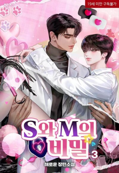 S and M’s Secret Cover